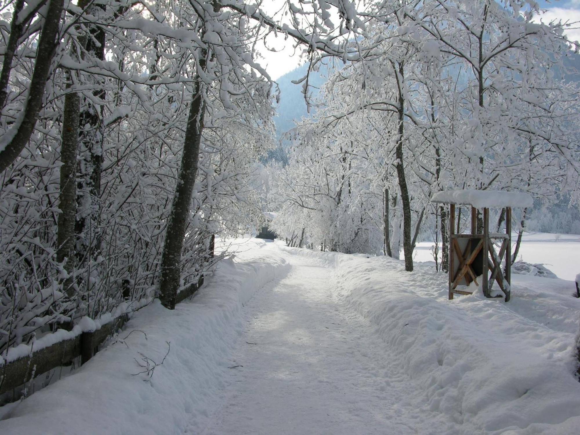 Haus Seeblick Am See Thiersee Zewnętrze zdjęcie